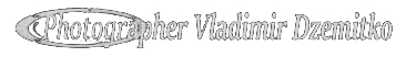 Фотохудожник ВЛАДИМИР ДЗЕМИТКО